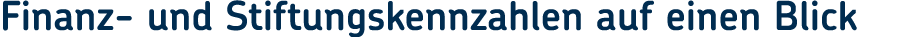 Finanz und Stiftungskennzahlen auf einen Blick